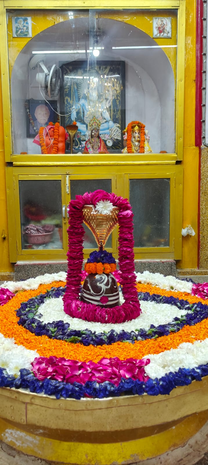 काल सर्प दोष पूजा — Pandit Girish Chandra Pargain, Haridwar